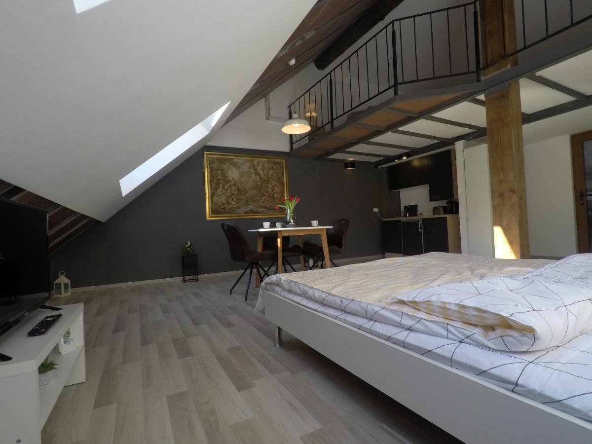 Savoya Nr2 Loft Studio Old City Center Self Check-In Workspace Timisoara Exterior foto