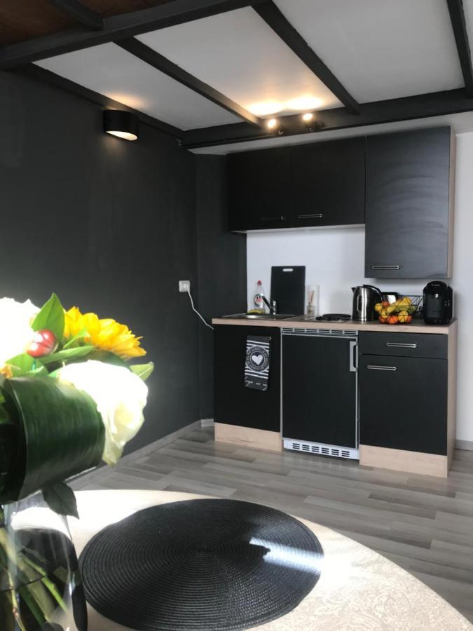 Savoya Nr2 Loft Studio Old City Center Self Check-In Workspace Timisoara Exterior foto