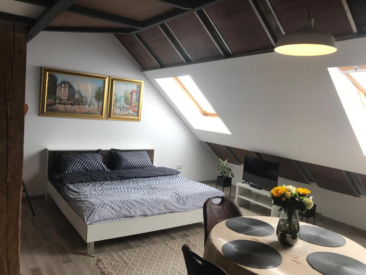 Savoya Nr2 Loft Studio Old City Center Self Check-In Workspace Timisoara Exterior foto