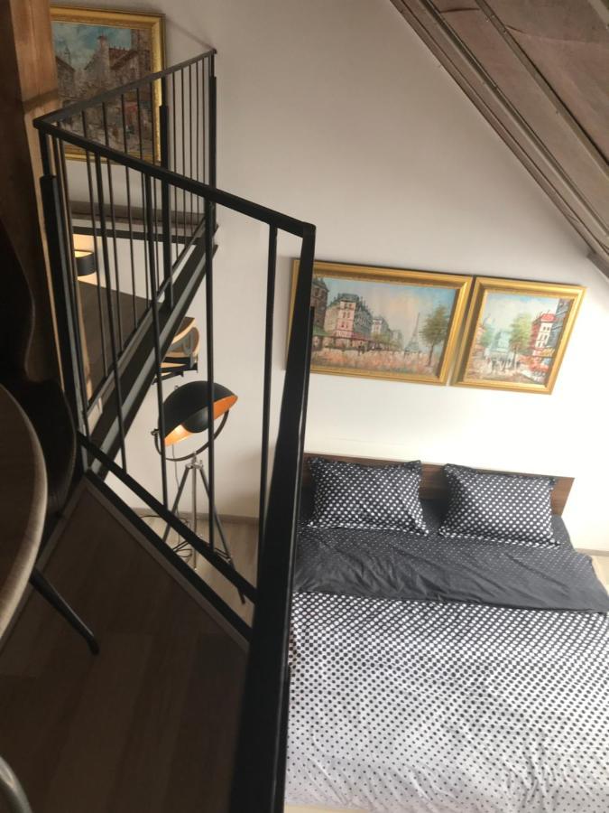 Savoya Nr2 Loft Studio Old City Center Self Check-In Workspace Timisoara Exterior foto